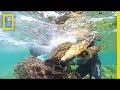 Marine Conservation Efforts