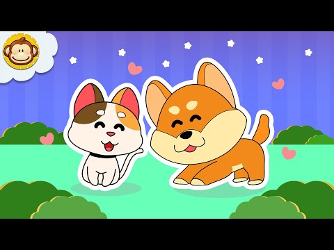 Lagu Anak Anak  | Kucing 🐈 dan 🐕 Anjing | BaLiTa | Baba Lili Tata