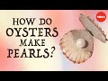 Understanding Calcium Carbonate in Marine Life