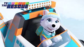Everest Causes An Avalanche! 😱 | PAW Patrol UK