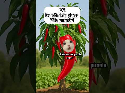 Evolución de las plantas VS la humanidad 🐱 #gatitoslindos #storytime