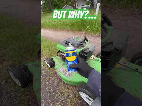 Why Spray WD40 into Lawnmower?