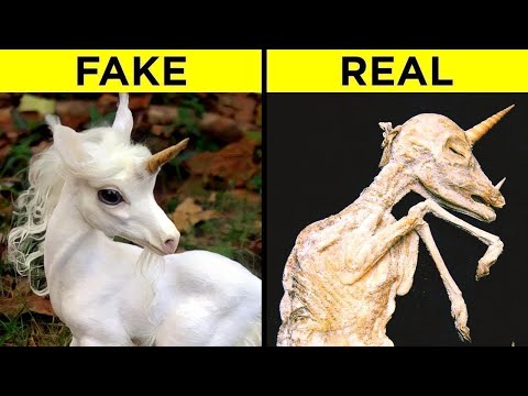 "पौराणिक जीव जो वास्तव में मौजूद हैं | Mythical Creatures That Actually Exist In Real Life