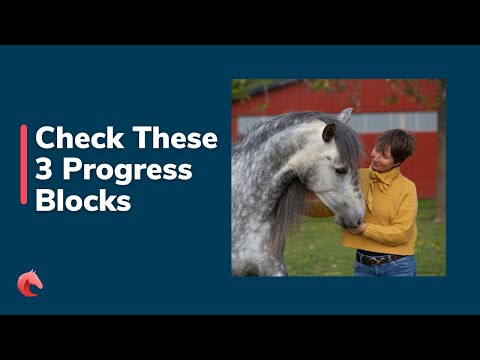 Frustrated that Your Horse (or you) are Not Improving? 3 Things to Check
