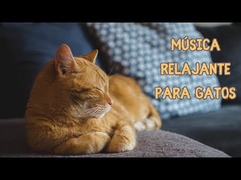 Sonido de arpa para gatos. Una hora de música relajante para gatos