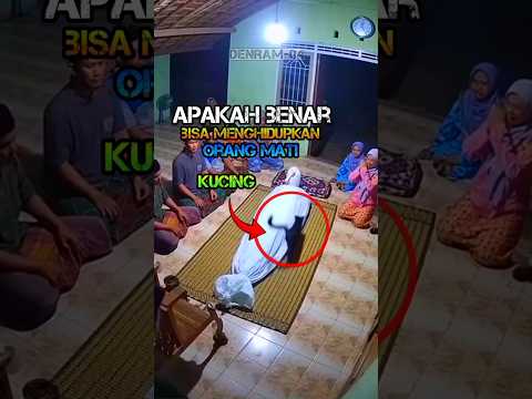 APAKAH BENAR KUCING BISA MENGIDUPKAN ORANG MATI #shorts #denram04 #mati