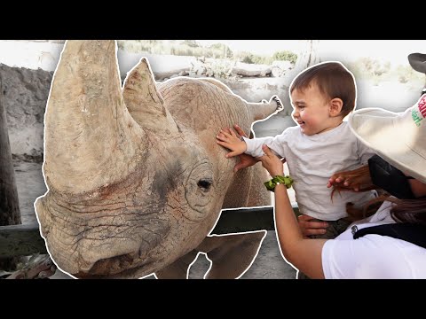 FUIMOS AL ZOOLÓGICO Y TOCAMOS RINOCERONTES! | FAMILIA BAKERSUAVE