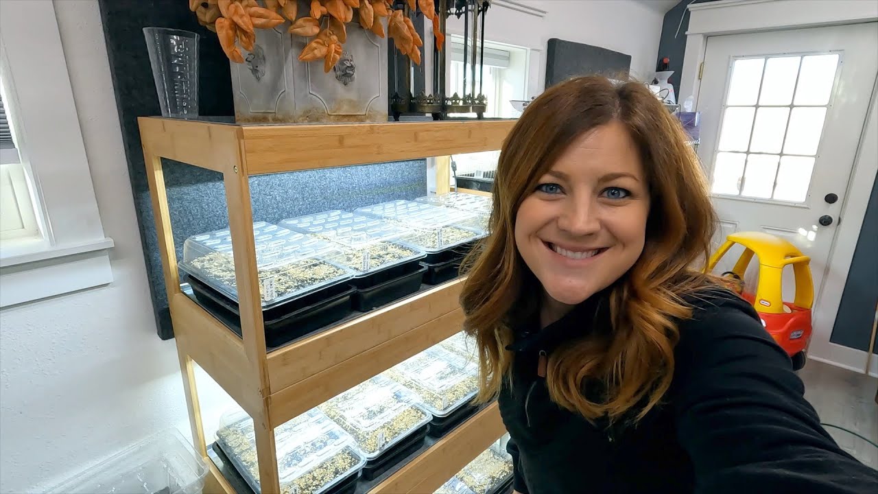 Starting Hardy Perennial Seeds & Planting Salad Greens in the Greenhouse!