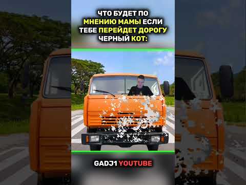 🟩🔹ЧТО БУДЕТ ПО МНЕНИЮ МАМЫ ЕСЛИ ПЕРЕЙДЕТ ДОРОГУ ЧЕРНЫЙ КОТ 😂 #мем #рек