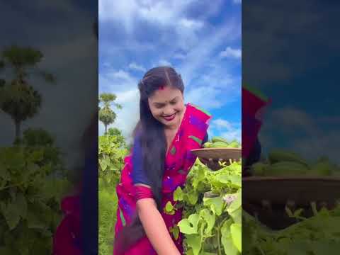 Parwal skin chutney recipe #food #recipe #kanika_rannaghor_with_village_food