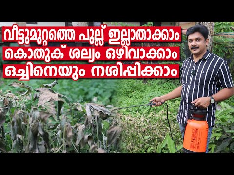 Kill Grass & Weeds naturally |  മുറ്റത്തേയും പുല്ല് നശിപ്പിക്കാനും കൊതുക്, ഒച്ച് ഇവയെ  ഒഴിവാക്കാം