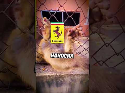 Ferrari поймали как ДЕШЕВКУ!🤯