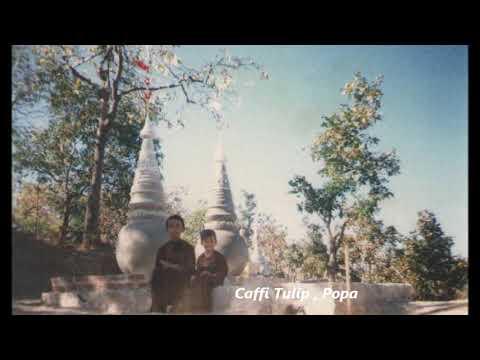 Shin Pyu Ahlu Taw , Popa  2006