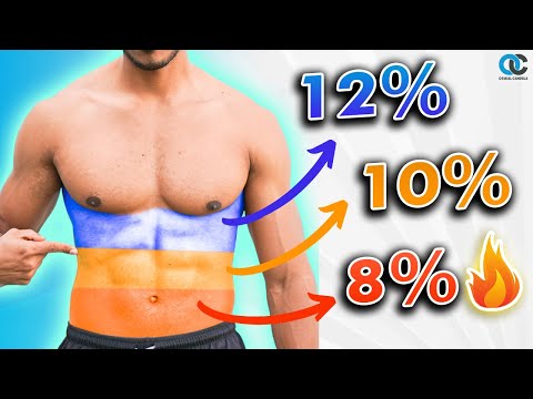 Asà se BAJA de un 30% a un 8% de GRASA ¡GuÃa DEFINITIVA! 🔥