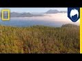 Bertie Gregory's Wildlife Series Overview