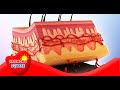 Integumentary System Functions and Health