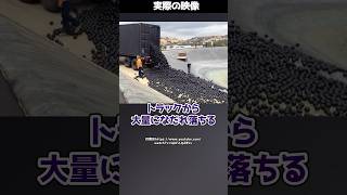 【画期的】池に大量の“黒いボール”！？実は11億リットルの水を守った驚きのアイディアだった！#shorts
