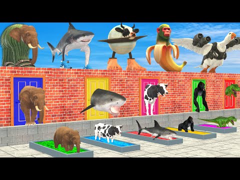 Elephant Cow Shark Gorilla Duck Pick the Right Head Italian Brainrot Animals Choose the Right Door