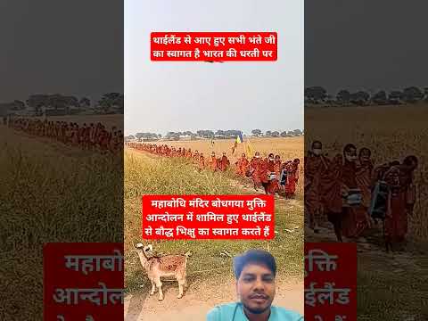 Free Mahabodhi Vihar Bodhgaya from brahmins #bodhgaya #buddha #buddhism #shortvideo #shorts #ytshort