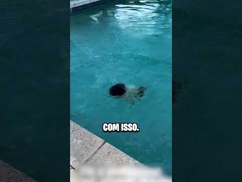 Por que os pais jogam seus bebês assim? 😨