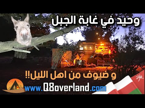 وحيد بين أشجار العلعلان وفي حضن الصقيع… ظهر من لا يُرى ٢١