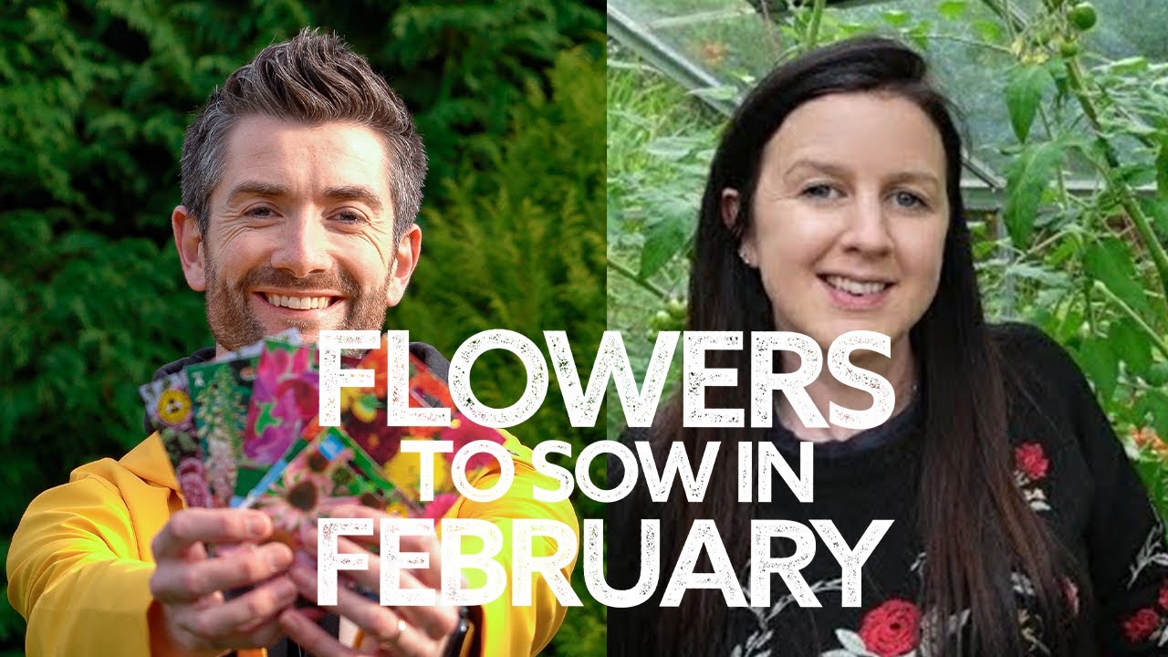 What Flowers To Sow in February with Erica | Flowers to Sow in Late Winter | Seeds for Early Flowers