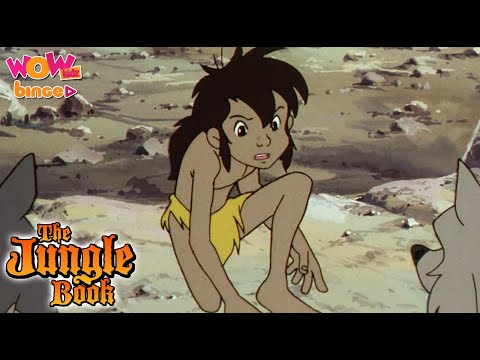 BIrth of a New Boss | The Jungle Book | 31 | Mowgli Cartoon | Hindi Episode #otm
