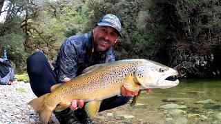 BIG Brown Trout on Dries | New Zealand Fly Fishing