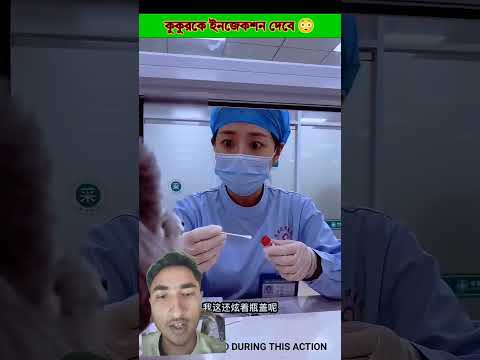 Giving the dog an injection๐ณ