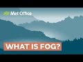 Understanding Fog