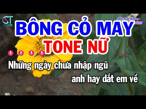 Karaoke Bông Cỏ May Tone Nữ ( G#m ) Nhạc Sống Mới | Karaoke Đồng Sen