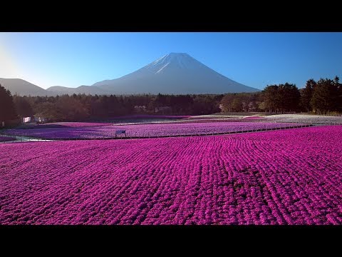 Japan from Above  - MIPDoc 2018 World Premiere Trailer