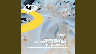 Caught In A Feeling (feat. Mammals) (Extended Mix)