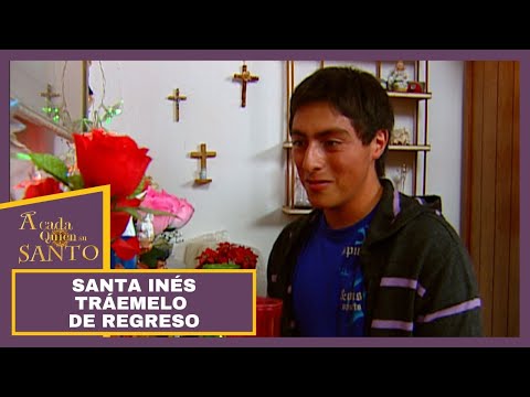 A Cada Quien Su Santo | Santa Inés tráemelo de regreso