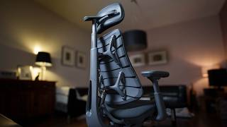 This Chair Fixed My Back Pain? - LiberNovo Omni