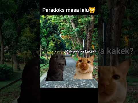 paradoks bikin bingung #memecringe #cat #kucing @HamsarKapongke