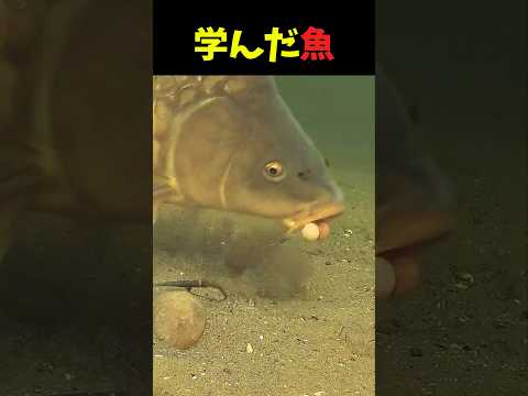 一瞬の判断