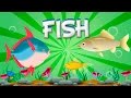 Exploring the World of Fish
