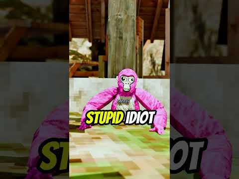 He Tricked Me...  #gorillatag
