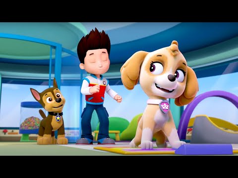 PAW Patrol - Pup Pup Boogie | WildBrain Toons | Cartoons for Kids