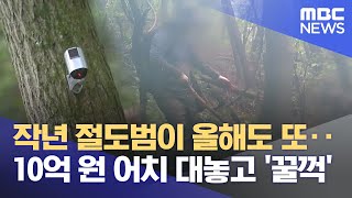 작년 절도범 올해도 10억 꿀꺽‥"CCTV 찍혀도 속수무책" (2025.08.27/뉴스데스크/원주MBC)