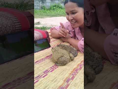 ตั้งใจเรียนโตขึ้นจะได้ฉลาด #frog #funny