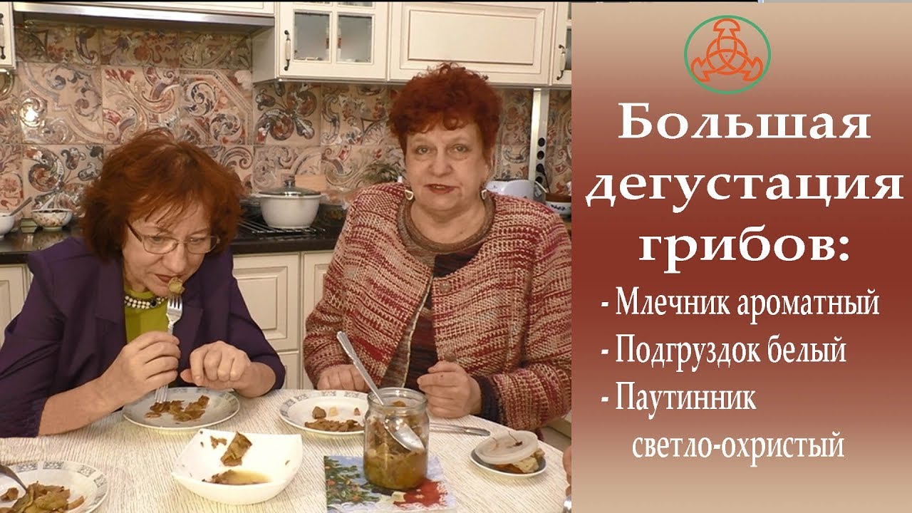 Большая дегустация грибов. Грибная кухня 1 марта 2018 года