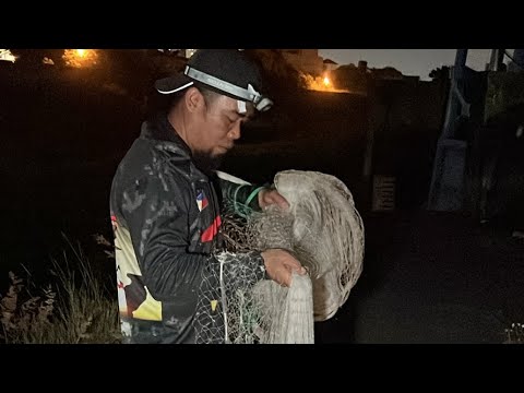 Net fishing 