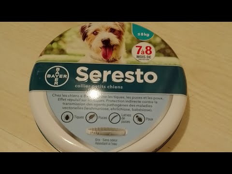 levering Voorverkoop Terugroepen Reacties op Seresto vlooienband voor honden