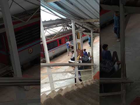 Dog kha baitha he😆|| dog funny acting #dogviral