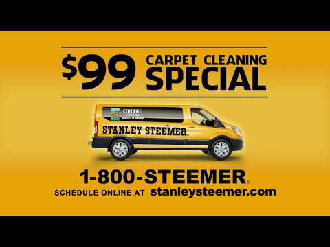 Stanley Steemer 99 Special 08 2021