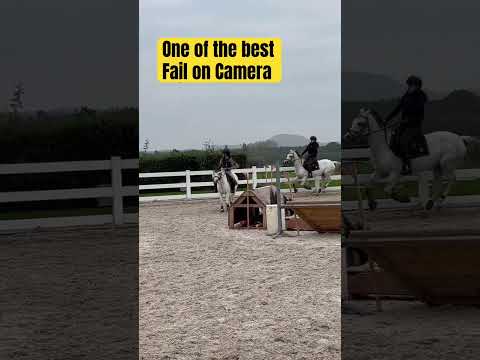 THIS EPIC FALL🫣 #horse #horseriding #shorts #trending  #foryou #shortsfeed #equestrian #viral #fail