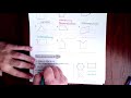 Properties of Lines and Shapes