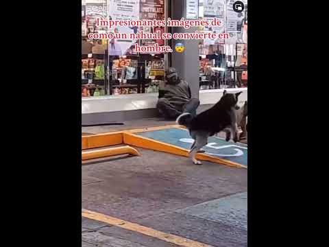 Juzguen Ustedes #humor #viralvideo #viralshort #video #parati #sigueme #paramascontenido #fypage